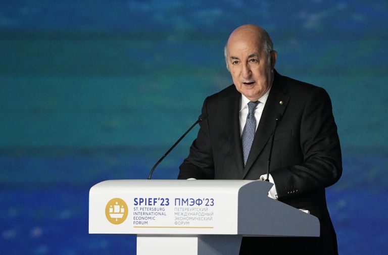 Президент Алжира Абдельмаджид Теббун выступает на пленарном заседании Петербургского международного экономического форума