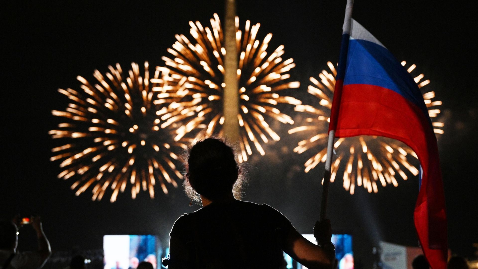 Девушка смотрит праздничный салют Девушка смотрит праздничный салют - РИА Новости, 1920, 29.04.2024