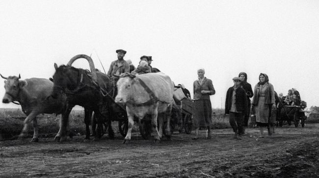 Беженцы уходят из оккупированных немцами районов во время Великой Отечественной войны Беженцы уходят из оккупированных немцами районов во время Великой Отечественной войны