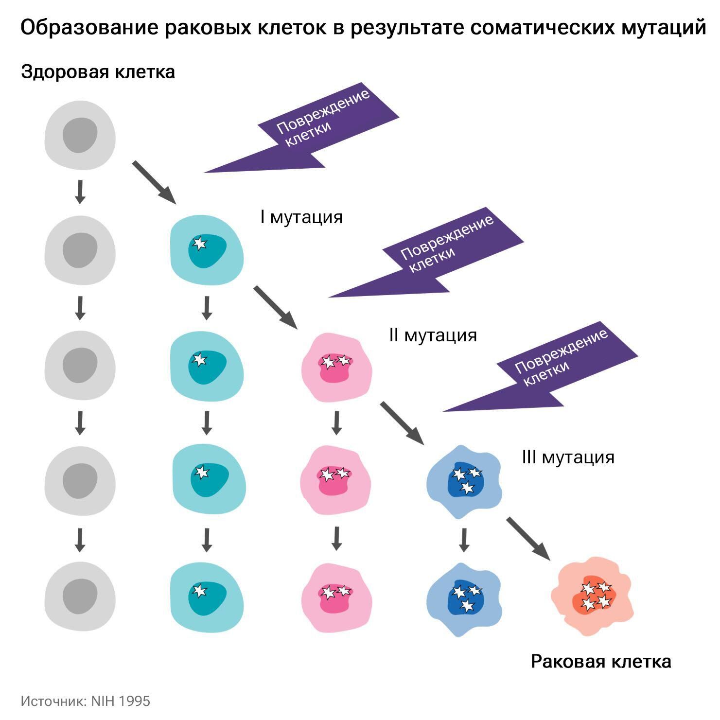 Накопление изменений в ДНК со временем приводит к возникновению раковых клеток Накопление изменений в ДНК со временем приводит к возникновению раковых клеток - РИА Новости, 1920, 23.06.2023
