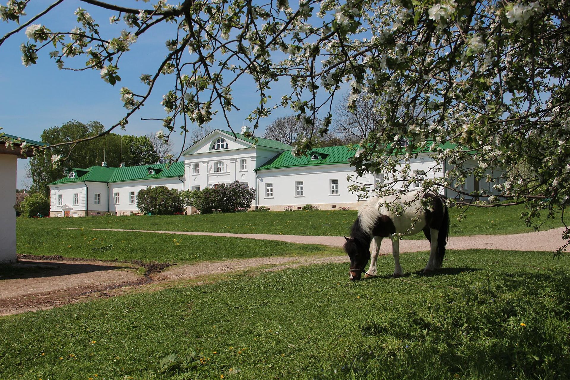 Дом Волконского Дом Волконского - РИА Новости, 1920, 26.06.2023