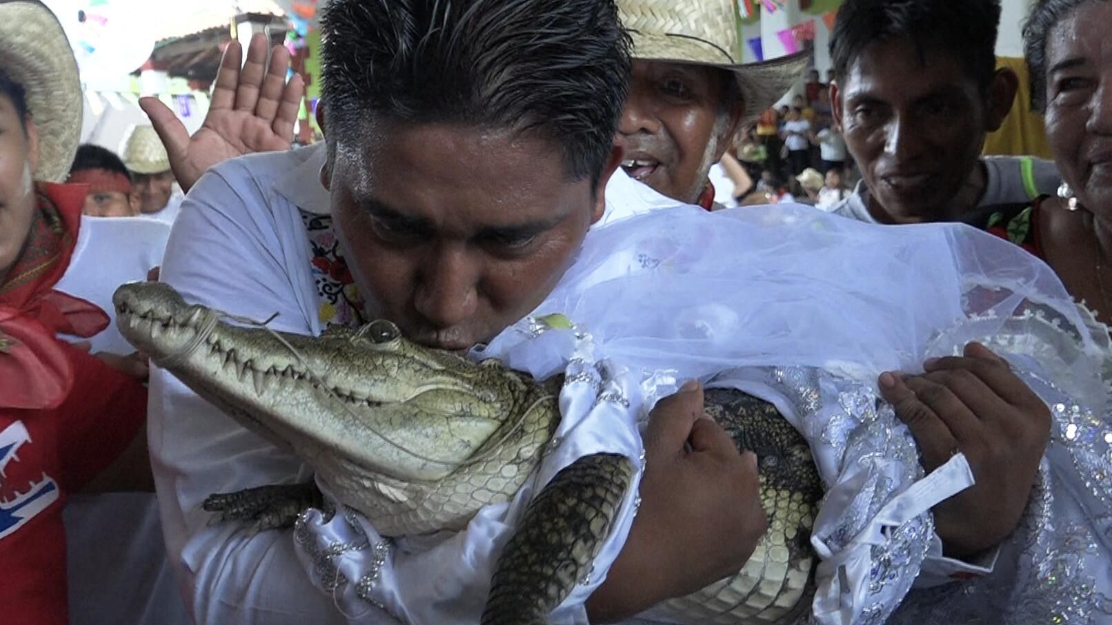 Виктор Хьюго Соса, мэр Сан-Педро-Уамелула, целует очкового каймана (Caiman crocodilus) по имени La Niсa Princesa (Девушка-принцесса) перед тем, как жениться на ней Виктор Хьюго Соса, мэр Сан-Педро-Уамелула, целует очкового каймана (Caiman crocodilus) по имени La Niсa Princesa (Девушка-принцесса) перед тем, как жениться на ней - РИА Новости, 1920, 02.07.2023