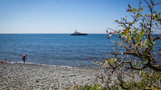 Побережье Черного моря