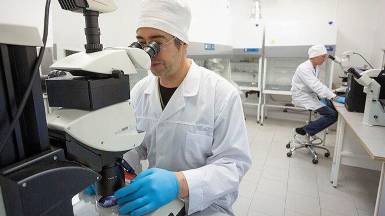 Руководитель сектора криоконсервации и репродуктивных технологий ИЦиГ СО РАН Сергей Амстиславский Руководитель сектора криоконсервации и репродуктивных технологий ИЦиГ СО РАН Сергей Амстиславский
