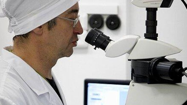 Руководитель сектора криоконсервации и репродуктивных технологий ИЦиГ СО РАН Сергей Амстиславский Руководитель сектора криоконсервации и репродуктивных технологий ИЦиГ СО РАН Сергей Амстиславский