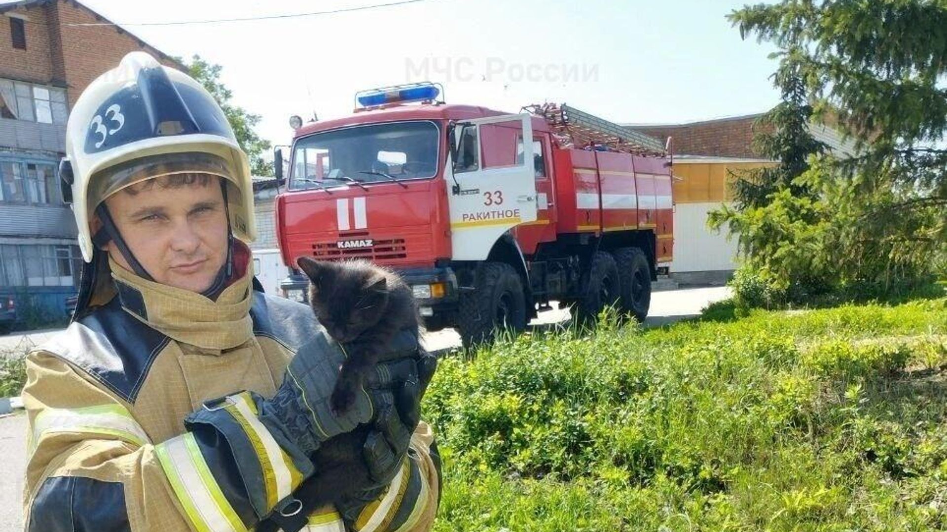 Спасатели в поселке Ракитное Белгородской области с бездомным котеном Спасатели в поселке Ракитное Белгородской области с бездомным котеном - РИА Новости, 1920, 07.07.2023