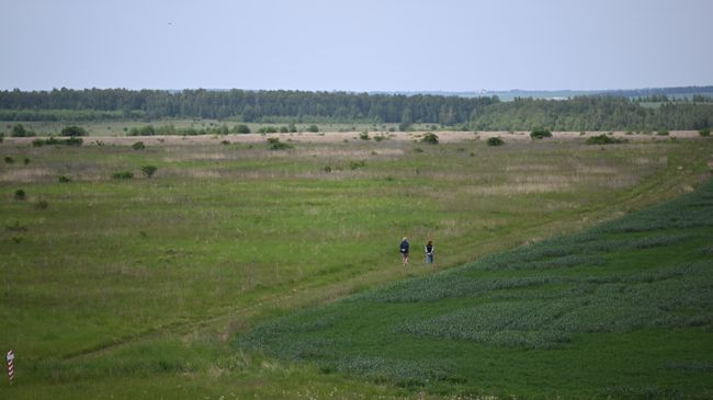 Посетители гуляют по территории музея-заповедника Куликово поле в Тульской области Посетители гуляют по территории музея-заповедника Куликово поле в Тульской области