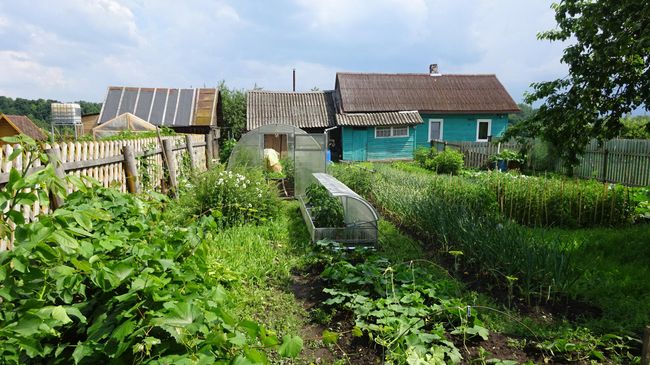 Старая Ладога в июле