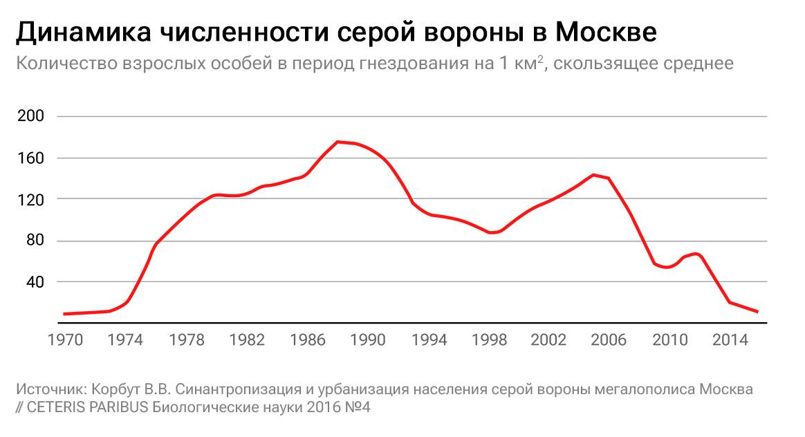 Динамика численности серой вороны в Москве Динамика численности серой вороны в Москве