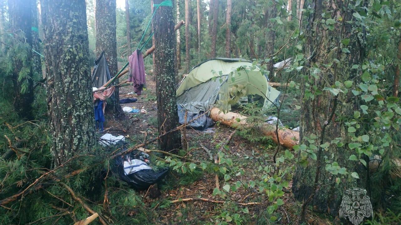 Последствия прохождения стихии в Марий Эл Последствия прохождения стихии в Марий Эл - РИА Новости, 1920, 30.07.2023