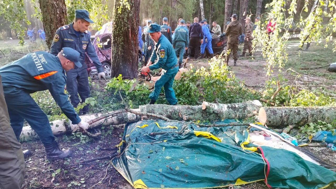 Последствия прохождения стихии в Марий Эл Последствия прохождения стихии в Марий Эл - РИА Новости, 1920, 31.07.2023