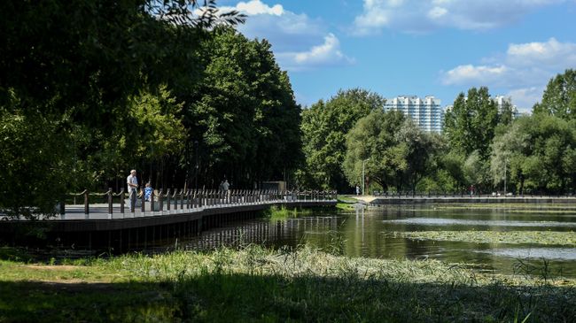 Благоустройство в парке Усадьба Михалково