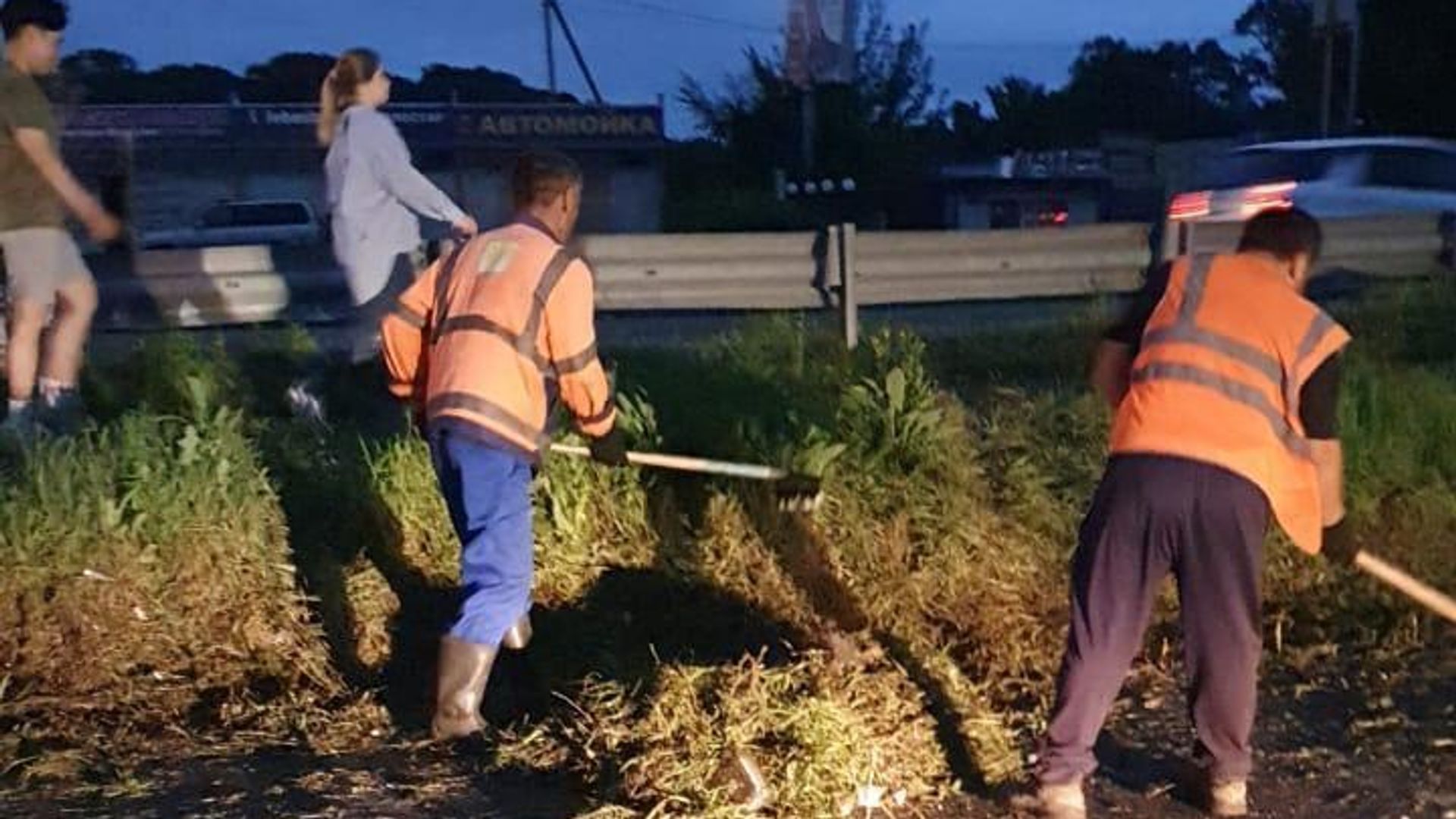 Очистка разлившегося мазута в подтопленном районе Семь ветров в Уссурийске Очистка разлившегося мазута в подтопленном районе Семь ветров в Уссурийске - РИА Новости, 1920, 31.01.2024