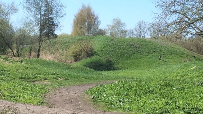 Курганы в Старой Ладоге Курганы в Старой Ладоге