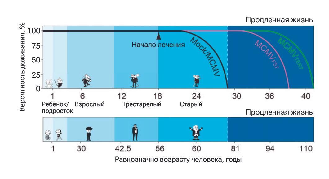Продление жизни Продление жизни - РИА Новости, 1920, 16.08.2023