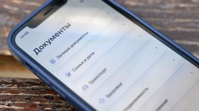 Приложение Госуслуги 