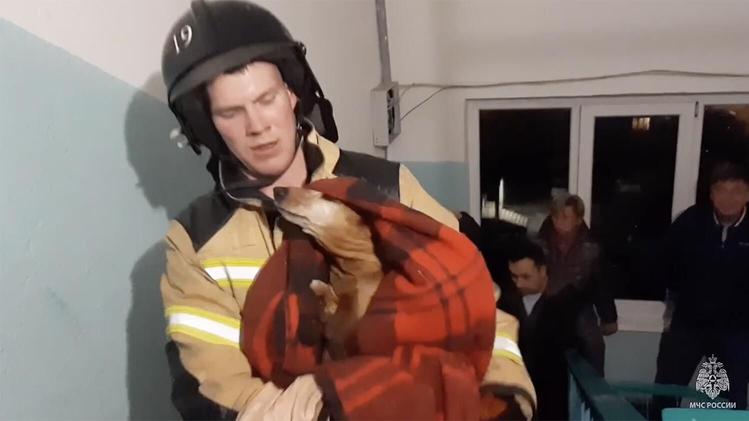 Пожарный МЧС спасает собаку во время пожара в Ижевске. Кадр видео Пожарный МЧС спасает собаку во время пожара в Ижевске. Кадр видео - РИА Новости, 1920, 26.08.2023