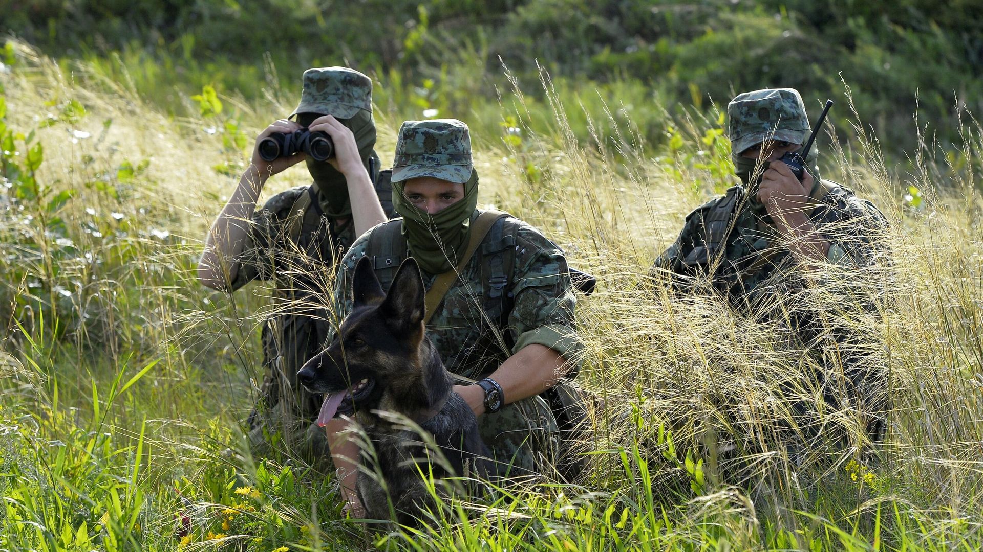 Военнослужащие пограничной службы ФСБ РФ Военнослужащие пограничной службы ФСБ РФ - РИА Новости, 1920, 28.05.2024