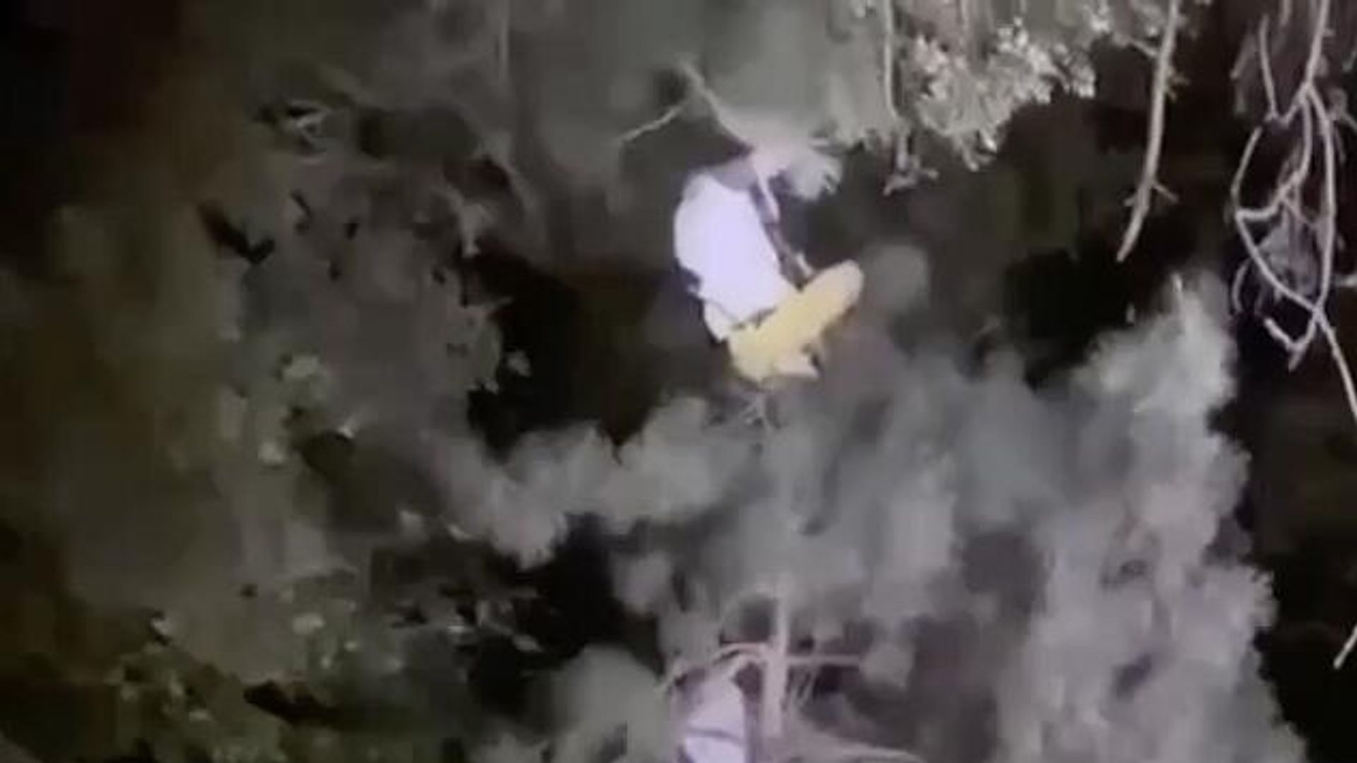Мужчина, забравшийся на дерево в Азове. Кадр видео Мужчина, забравшийся на дерево в Азове. Кадр видео - РИА Новости, 1920, 30.08.2023