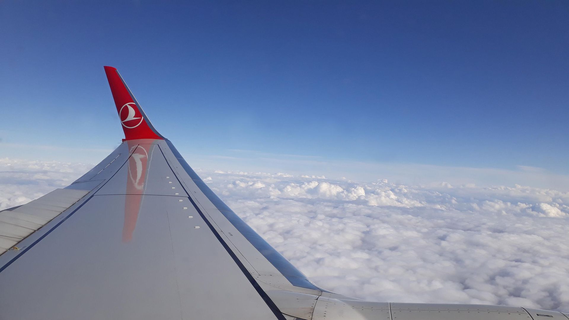 Самолет авиакомпании Turkish Airlines Самолет авиакомпании Turkish Airlines - РИА Новости, 1920, 23.07.2025