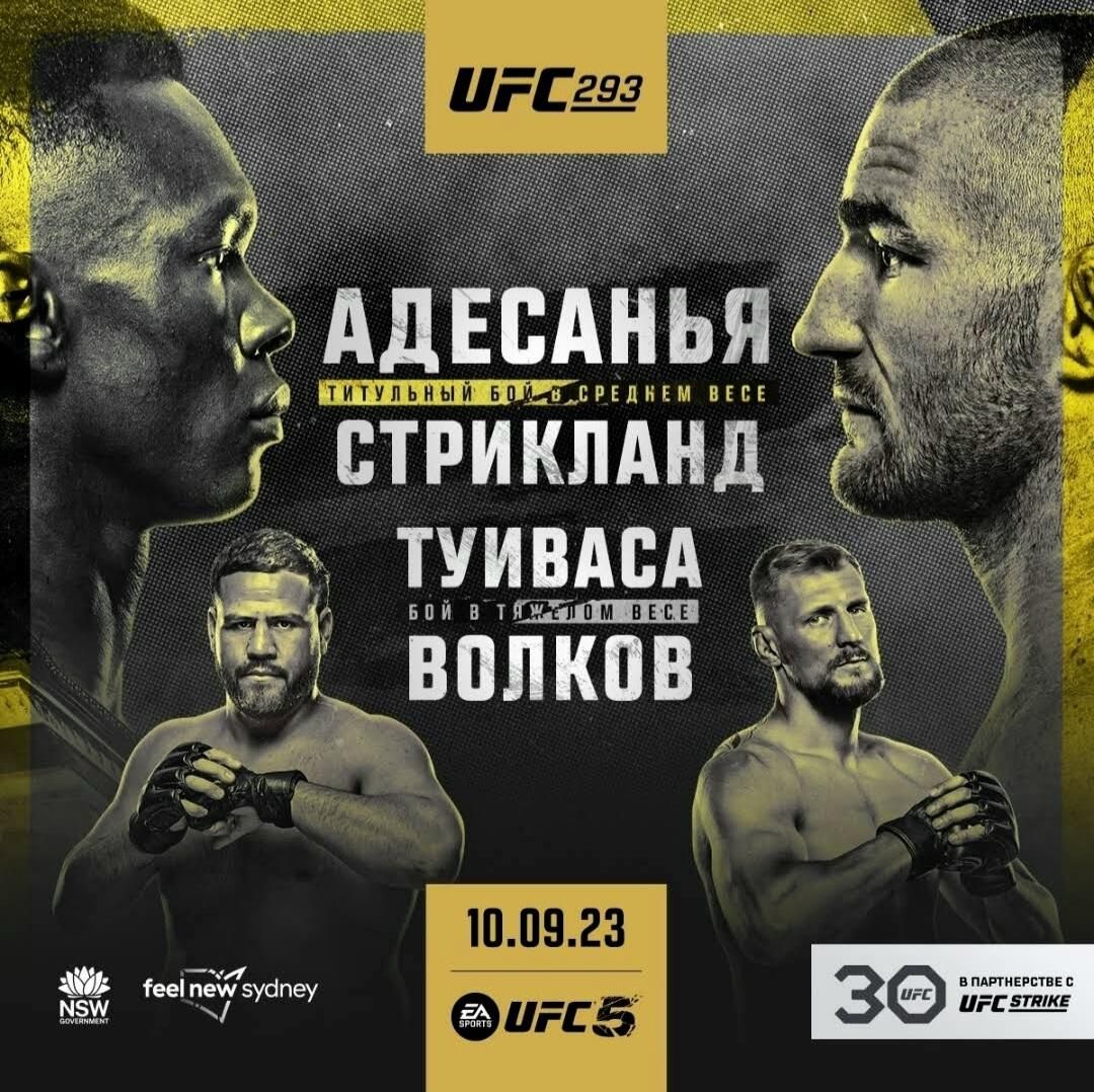Постер UFC 293 Постер UFC 293 - РИА Новости, 1920, 09.09.2023
