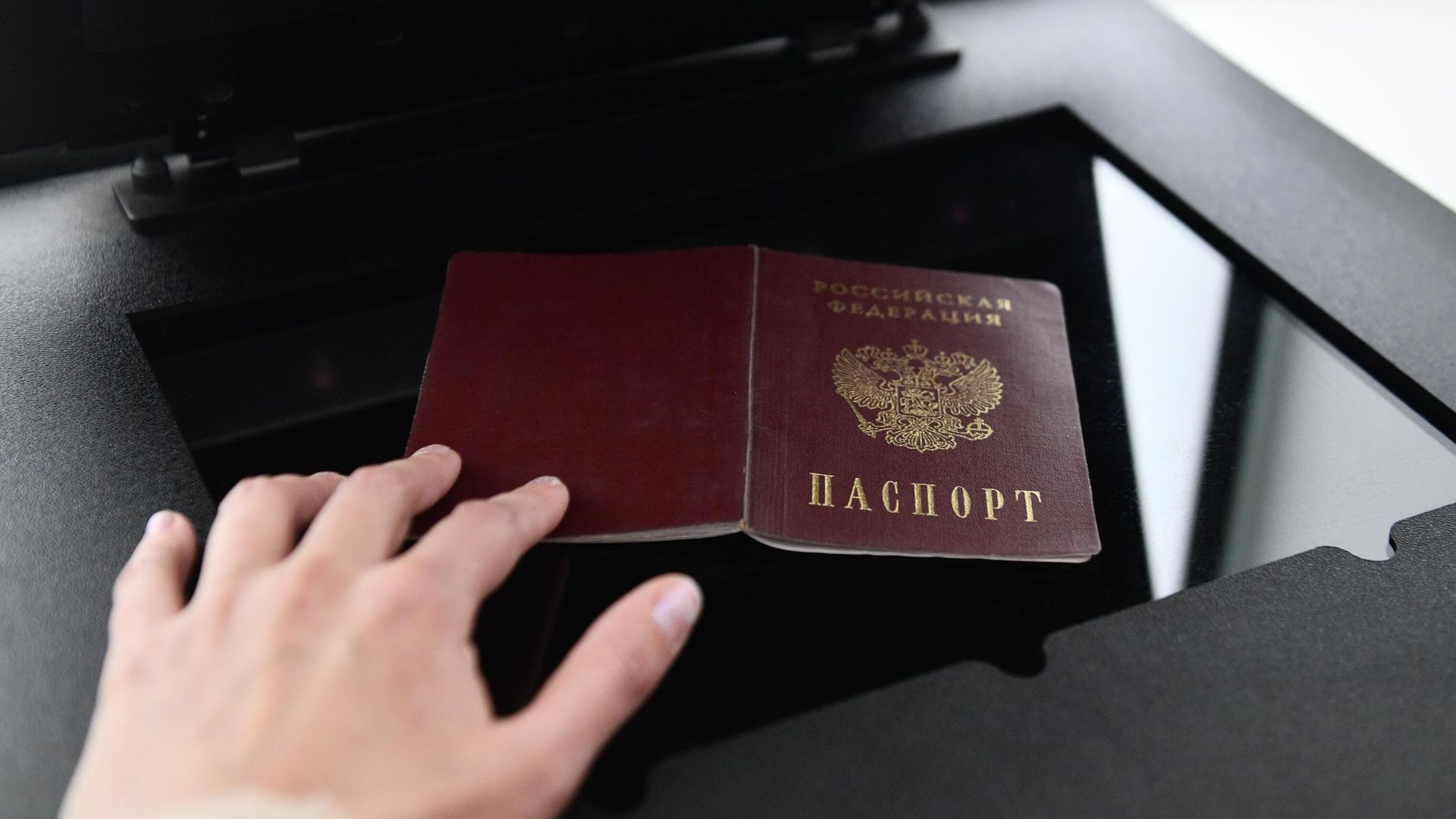 Девушка сканирует свой российский паспорт Девушка сканирует свой российский паспорт - РИА Новости, 1920, 29.12.2024