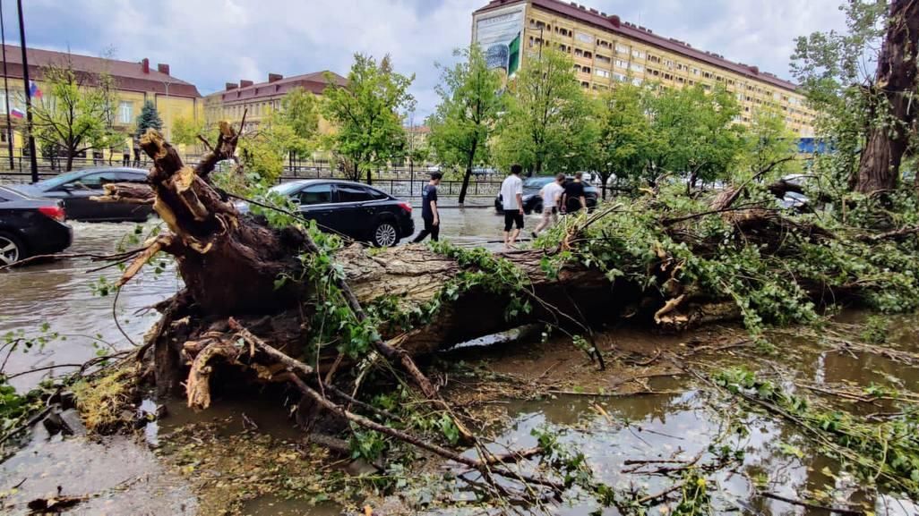 Последствия сильного ветра в Грозном Последствия сильного ветра в Грозном - РИА Новости, 1920, 06.09.2023