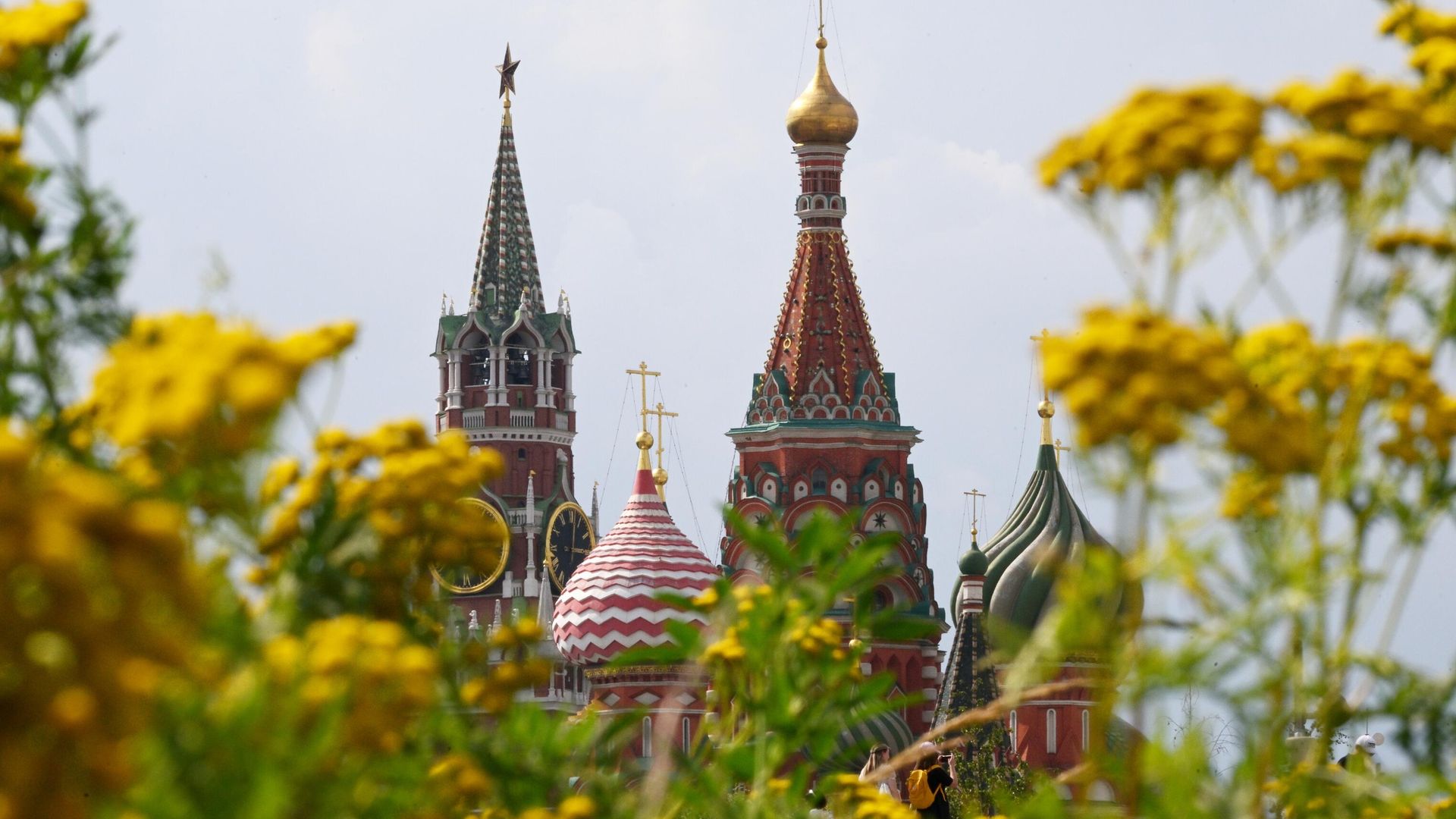 Вид из парка Зарядье на Спасскую башню Московского Кремля Вид из парка Зарядье на Спасскую башню Московского Кремля - РИА Новости, 1920, 20.09.2024