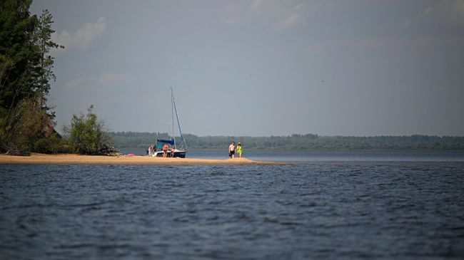 Вид на остров на Рыбинском водохранилище, Ярославская область Вид на остров на Рыбинском водохранилище, Ярославская область