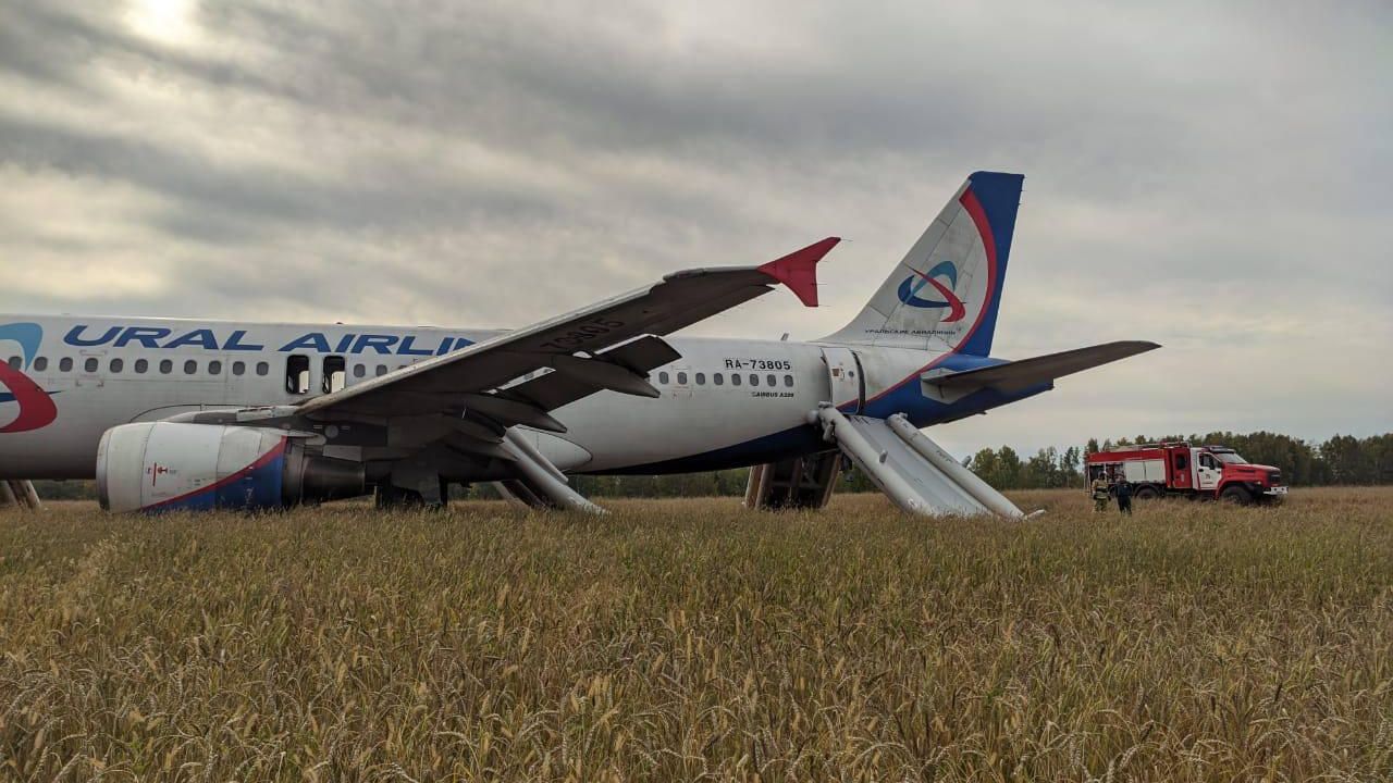 Аварийная посадка рейса Сочи-Омск Аварийная посадка рейса Сочи-Омск - РИА Новости, 1920, 12.09.2023