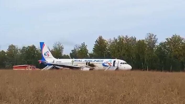 Пассажирский самолёт совершил вынужденную посадку в Новосибирской области Пассажирский самолёт совершил вынужденную посадку в Новосибирской области - РИА Новости, 1920, 12.09.2023