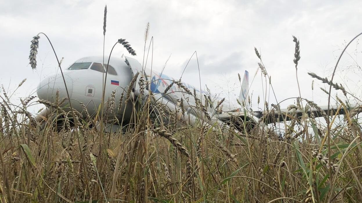 Самолет авиакомпании Уральские авиалинии, совершивший аварийную посадку на грунт в Новосибирской области Самолет авиакомпании Уральские авиалинии, совершивший аварийную посадку на грунт в Новосибирской области - РИА Новости, 1920, 12.09.2023