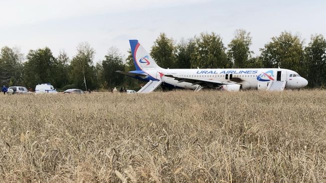 Самолет авиакомпании Уральские авиалинии, совершивший аварийную посадку