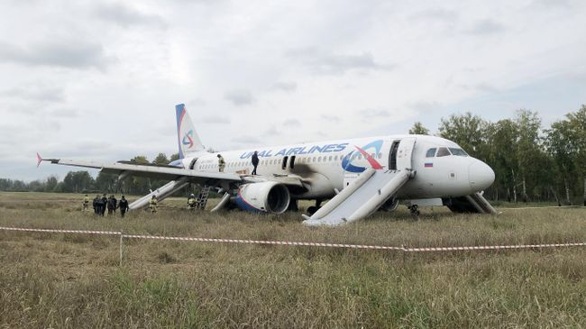 Самолет авиакомпании Уральские авиалинии, совершивший аварийную посадку на грунт в Новосибирской области