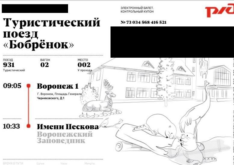 Туристический билет РЖД России Туристический билет РЖД России - РИА Новости, 1920, 16.09.2023