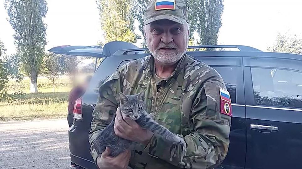 Глава Коми Владимир Уйба с котенком Симба, которого приютил боец Роман Попов в зоне СВО Глава Коми Владимир Уйба с котенком Симба, которого приютил боец Роман Попов в зоне СВО - РИА Новости, 1920, 24.09.2023