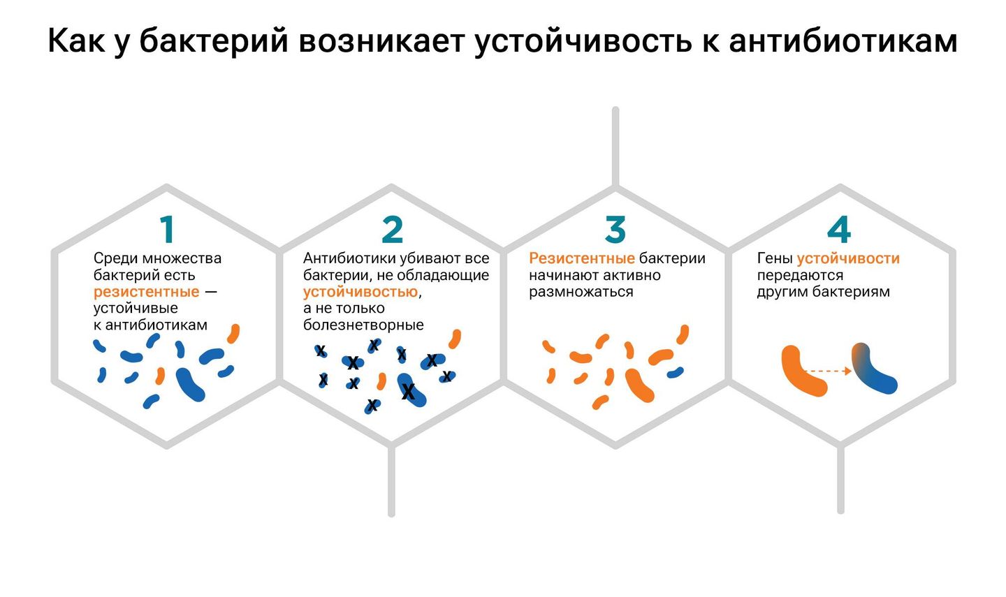 Как у бактерий возникает устойчивость к антибиотикам Как у бактерий возникает устойчивость к антибиотикам