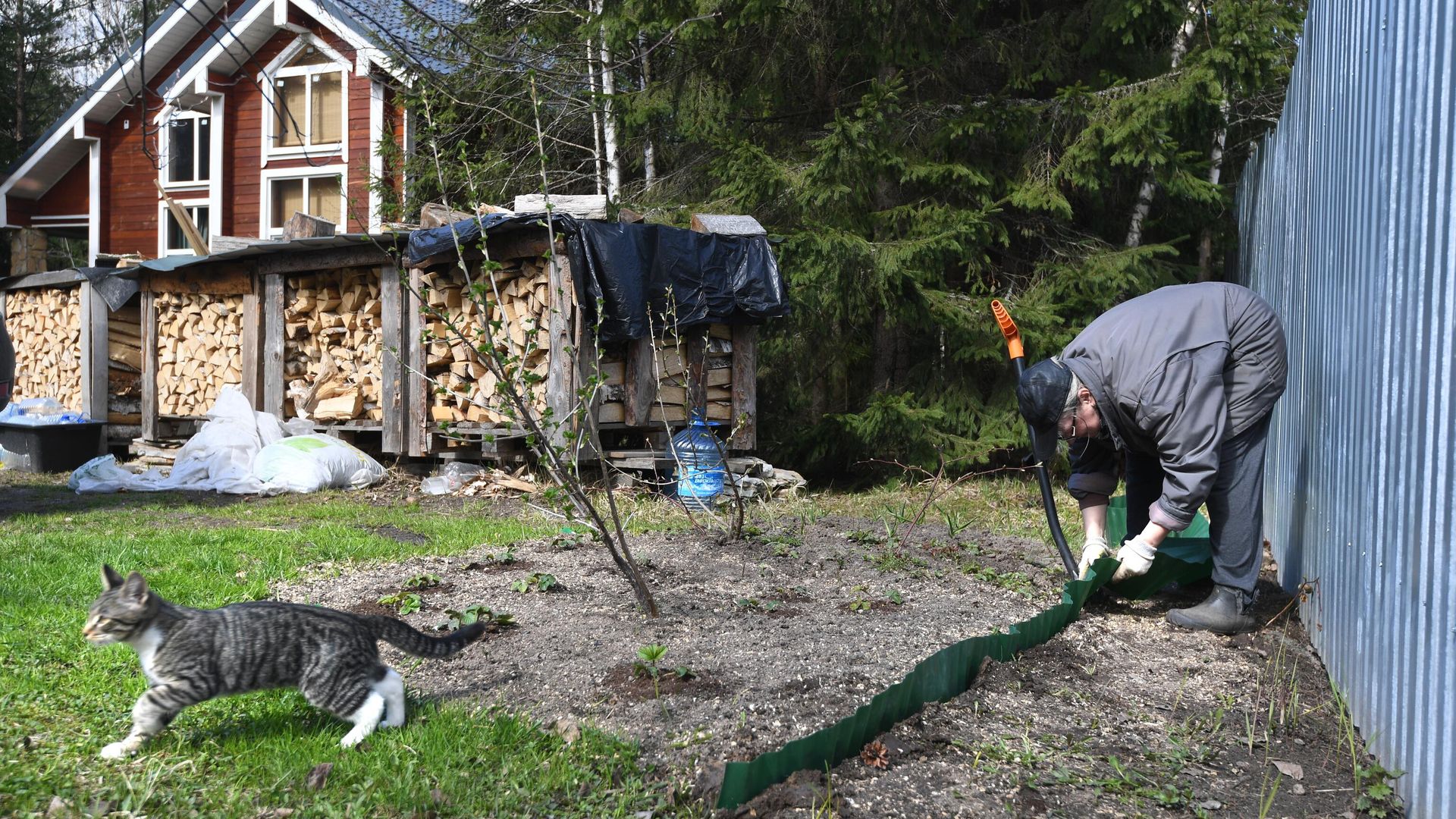 Дачный участок Дачный участок - РИА Новости, 1920, 01.10.2023