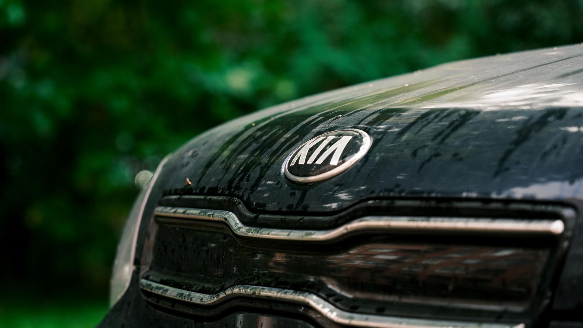 Логотип компании Kia на автомобиле Логотип компании Kia на автомобиле - РИА Новости, 1920, 04.03.2026