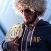 Хабиб Нурмагомедов Хабиб Нурмагомедов