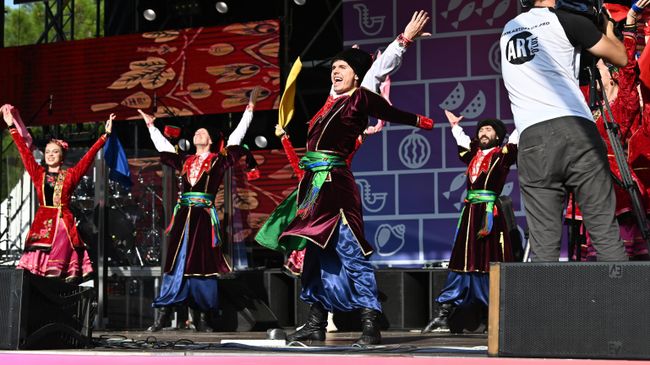 Кубанский народный ансамбль танца Станица Кубанский народный ансамбль танца Станица
