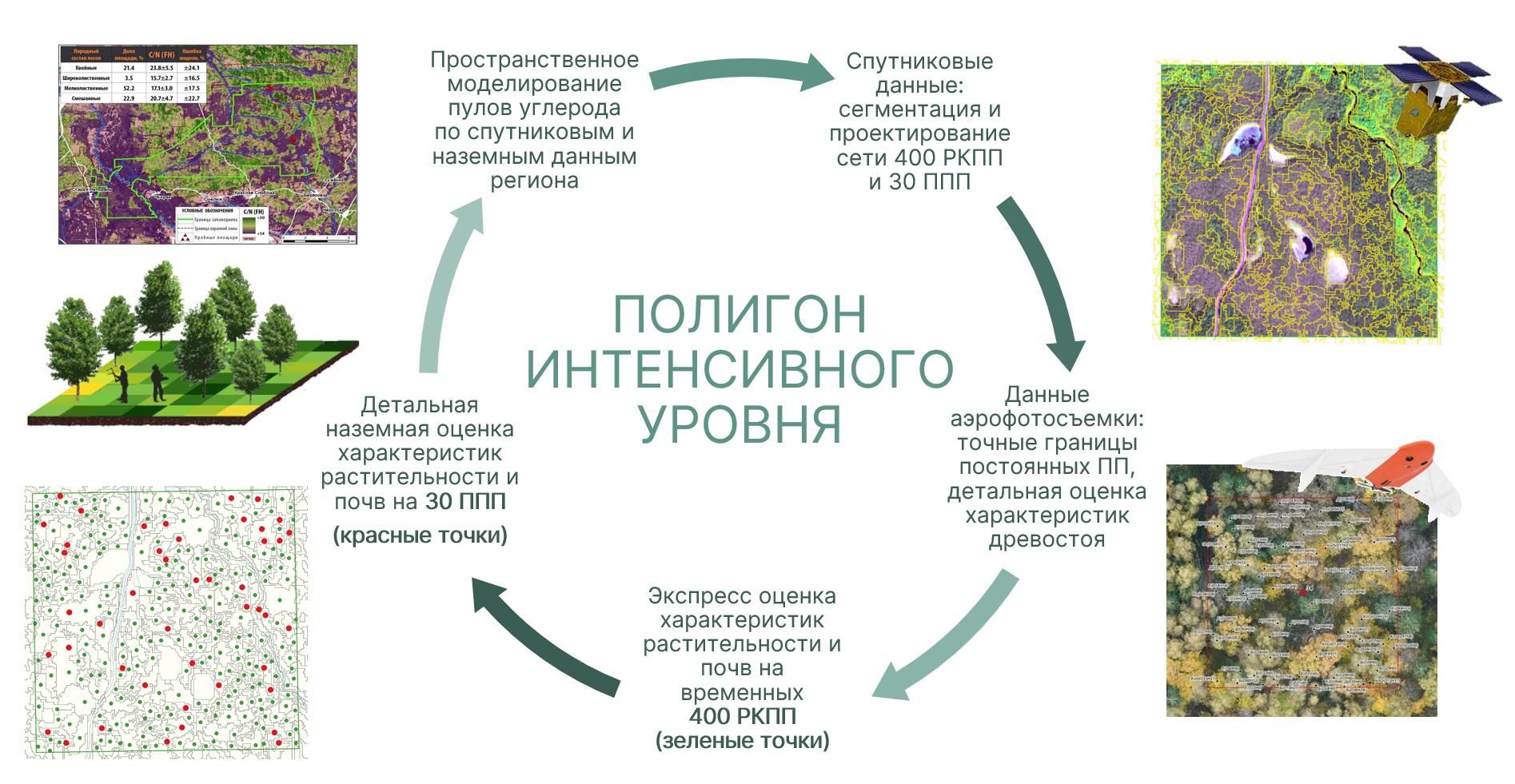 Цикл исследований на полигонах интенсивного уровня типа I, к которому в том числе относится карельский полигон Кивач Цикл исследований на полигонах интенсивного уровня типа I, к которому в том числе относится карельский полигон Кивач - РИА Новости, 1920, 10.10.2023