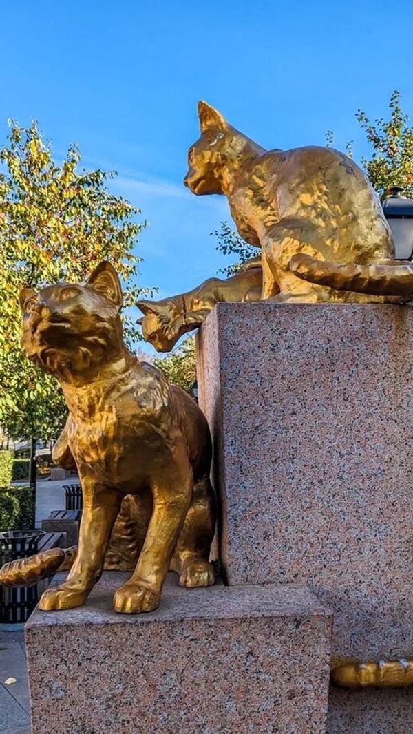 Тюмень. Сквер сибирских кошек Тюмень. Сквер сибирских кошек