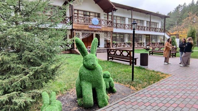 Террритория эко-парка Тайга в Тюмени Террритория эко-парка Тайга в Тюмени