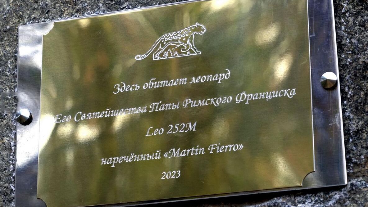 Памятный комплекс, посвященный дальневосточному леопарду папы римского Франциска, впервые открыт на Гамовском кластере национального парка Земля леопарда в Приморском крае Памятный комплекс, посвященный дальневосточному леопарду папы римского Франциска, впервые открыт на Гамовском кластере национального парка Земля леопарда в Приморском крае - РИА Новости, 1920, 05.04.2024