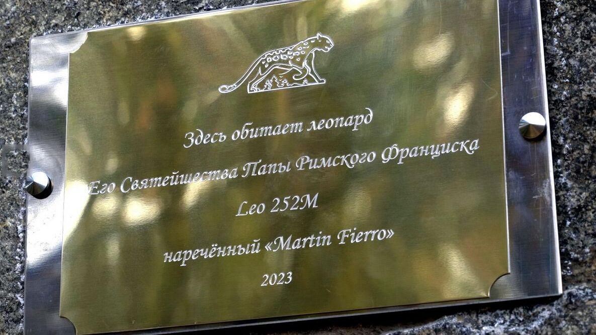 Памятный комплекс, посвященный дальневосточному леопарду папы римского Франциска, впервые открыт на Гамовском кластере национального парка Земля леопарда в Приморском крае Памятный комплекс, посвященный дальневосточному леопарду папы римского Франциска, впервые открыт на Гамовском кластере национального парка Земля леопарда в Приморском крае - РИА Новости, 1920, 05.04.2024