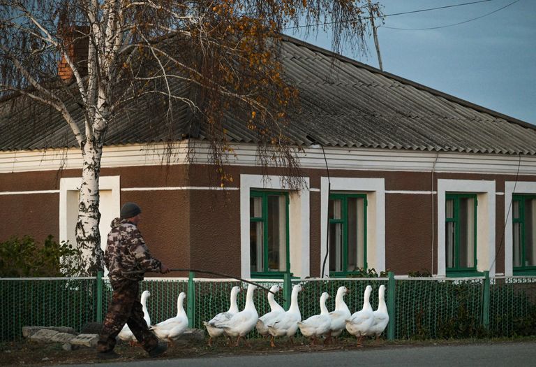Местный житель в деревне Новониколаевка в Барабинском районе Новосибирской области Местный житель в деревне Новониколаевка в Барабинском районе Новосибирской области