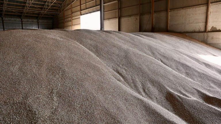 Собранный урожай в Краснодарском крае Собранный урожай в Краснодарском крае