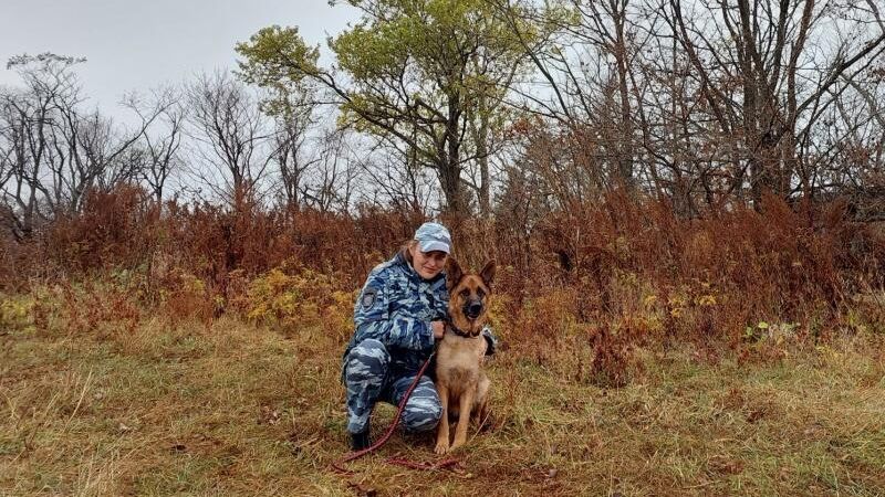 В Фокино Приморского края служебная собака помогла полицейским найти пенсионера, потерявшегося в лесу В Фокино Приморского края служебная собака помогла полицейским найти пенсионера, потерявшегося в лесу - РИА Новости, 1920, 01.11.2023