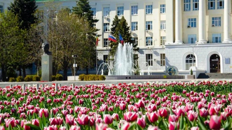 Клумба с тюльпанами возле Технического университета в Ростове-на-Дону Клумба с тюльпанами возле Технического университета в Ростове-на-Дону - РИА Новости, 1920, 02.11.2023